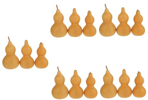 RORPOIR 15 Pièces Ornements de courge hu lu Gourde courge séchée Naturelle décor Pumpkin Decoration Décoration de courge Ornement de Bureau décor de Gourde courge Naturelle