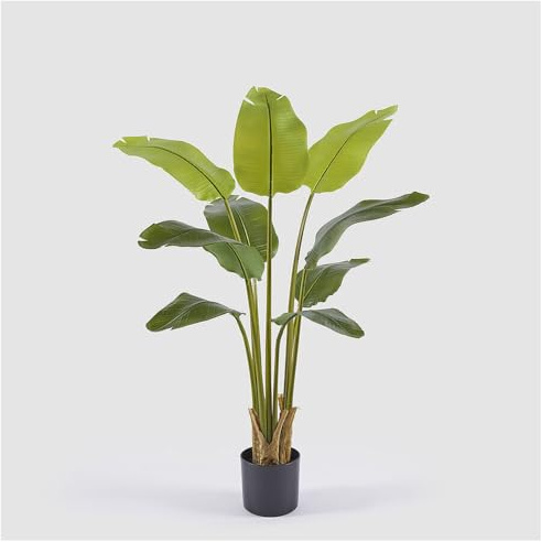 EDG Enzo De Gasperi Enzo De Gasperi Banano con Vaso Artificiale H 120 Cm Green