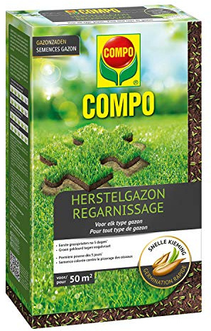Compo Graines regarnissage Gazon Tout Type de Gazon | 1KG
