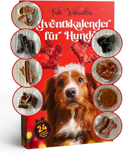 Nur Dieses Weihnachten - 8 Verschiedene Echte Fleischsorten im Hunde Adventskalender – Glutenfrei & Weizenfrei – Exklusive Auswahl: Rind, Ente, Huhn, Fisch