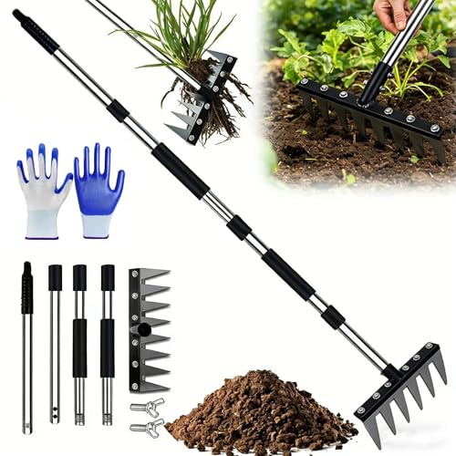 Râteau de Désherbage avec Manche Télescopique, Rateau Jardin, 5/6/7/8 Dents Rateau Scarificateur en Acier Robuste, peigner la pelouse et Ameublir (6 Dents)