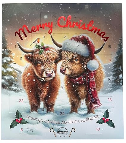 Airpure - Calendario de Adviento de cera perfumada para derretir – 24 velas aromáticas de cera para Navidad con etiqueta de regalo (rojo - ángel)