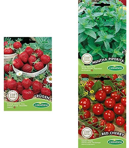 Germisem Graines Fraise + Tomate + Menthe