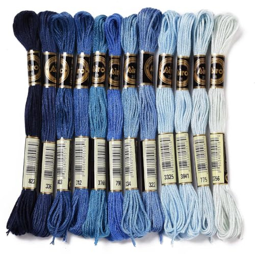 CABODYALS 12 écheveau de Fil à Broder Panaché 96.01 plis de 6 m pour Bracelets D'Amitié Fil Bleu Dégradé pour Point de Croix Fil en Vrac pour la Fabrication de Bijoux Couture à la Main Tricot Couture