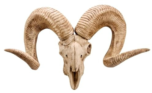JOUFNING Wall Decoracion Sculpture, Rams Head Skull Wall Hanging, Bighorn Sheep Ram Skull, Faux Longhorn Sheep Horned Head Skull(Brown)