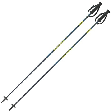 Skidstavar Fischer RC4 Noize – 115 cm – Alpin skidstavar – högkvalitativ skidstav i aluminium – Allmountain Piststav – unisex – ergonomiskt handtag – justerbar handledsrem