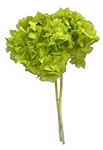 Pandecor Mazzo di Ortensie stabilizzate Colore Verde Mela d. 20 cm