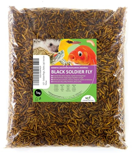 UGF - Hermetia Meglio dei vermi secchi della farina (1 kg) - 85 volte più calcio rispetto ai vermi vivi - bocconcini BSFL per uccelli selvatici, tartarughe, ratti, ricci - larve di soldati essiccati