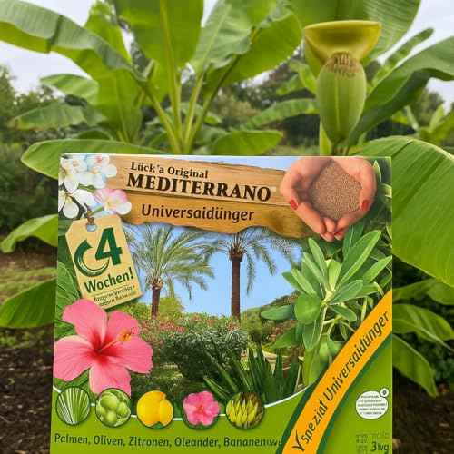 Mediterrano Bananenbaum Dünger – Optimale Nährstoffversorgung für gesunde, kräftige Bananenbäume! 3 Kg Original Mediterrano