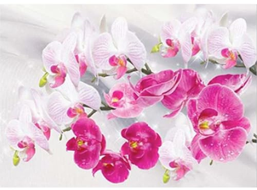 DCIDBEI Diamond Painting Orchideen Blumen Pink Orchidee 40x30cm | Diamant Painting Bilder Malen nach Zahlen Blumen Erwachsene Blumen Orchidee Orchideen Zen Landschaft