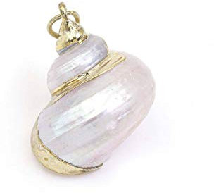 schimmernde Meeresschnecke als Anhänger mit Aufhängung in goldfarben 1 Stück von Vintageparts zum Schmuck selber machen Muschel Muschelanhänger Kettenanhänger Schmuckanhänger Damen Mädchen Unisex