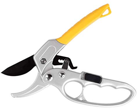 Forbici professionali per potatura con incudine a cricchetto, Utensili manuali Cesoie-Troncarami, Manico rinforzato, Design portatile con scanalatura, Per giardinaggio, Potatura di alberi,