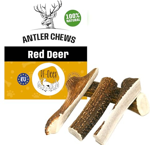 RF-Deer Rothirschgeweih für Hunde, Natürlicher Kausnack, L Soft, 1 Stück | 100 % natürlich, ohne Farb- und Konservierungsstoffe, reich an Mineralien, tierärztlich kontrolliert, langlebige Kaustange