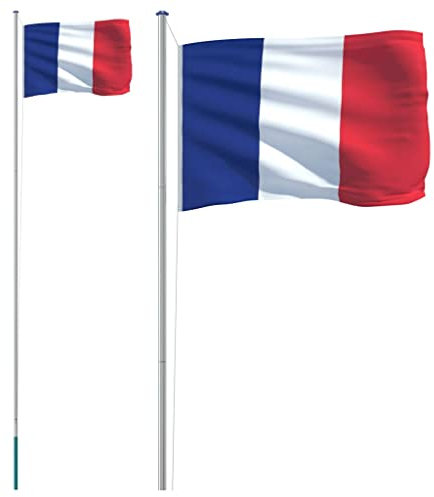 vidaXL Drapeau de la France et mât 6,23 m Aluminium
