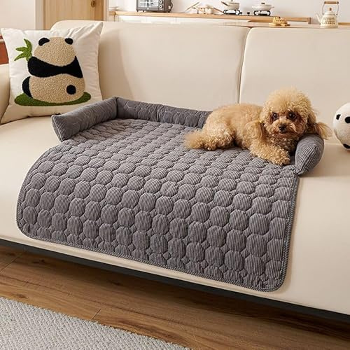Cama para Perros Protector Sofá Mediano para Mascotas CojíN para Perro Lavable Manta para Perro con Borde Antideslizante para Perros Grandes, Medianos PequeñOs Gatos 75 × 75 cm Gris Oscuro