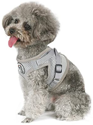 Hundegeschirr Set mit Leine- Hund&Katze Klein Weich Vest- Verstellbar Sicher Kontrolle Welpengeschirr Weste & Reflektorstreifen verstellbares Geschirr (S, Grau)