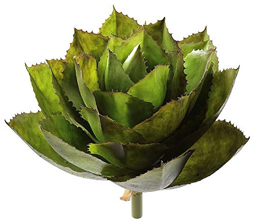 Deco Woerner Agave Parryi Künstliche Agave Kunstpflanze Zimmerpflanze Fake Agave Parryi 38 cm