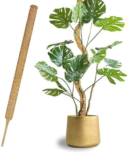 1 Pezzi 70cm*4CM sostegno per piante rampicanti Interno,supporto piante rampicanti,tutore per piante allungabili, per Casa Giardino