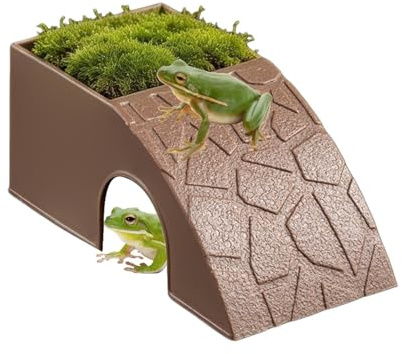Reptil maträtt – 2 i 1 dekorativt skydd | sköldpaddsmat- och vattenskålar prydnad för skäggiga drakar, horngrodor, spindlar, geckos, räkor, sköldpaddor, leopardkameleonter