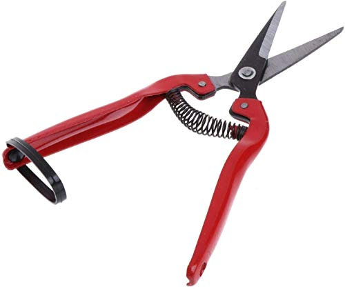 DDNGEJ Astschneider, Heckenschere, Cutter, Beschneiden, Handschere, Pflanzenschneider, Pflanzenschere, Gartenschneider, Blumenzweigschere, Handschere, tragbares Werkzeug
