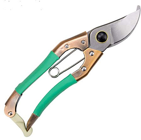 Tijeras para jardinería, Tijeras de poda derivación con hoja acero SK-5 for rosales, árboles frutales y flores