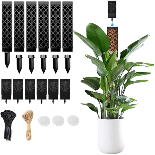 6 varillas de musgo para Monstera, con ayuda de riego y bridas, varilla de musgo autoriego, varilla para plantas de interior, juego de soportes para plantas trepadoras, plantación de jardín