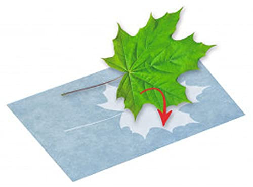 moses. FenoMINT Soltryckspapper, experimentleksaker för barn, pysselpapper för att observera vetenskapliga fenomen, 10 pappersark 13,5 x 19 cm för utskrift av olika föremål