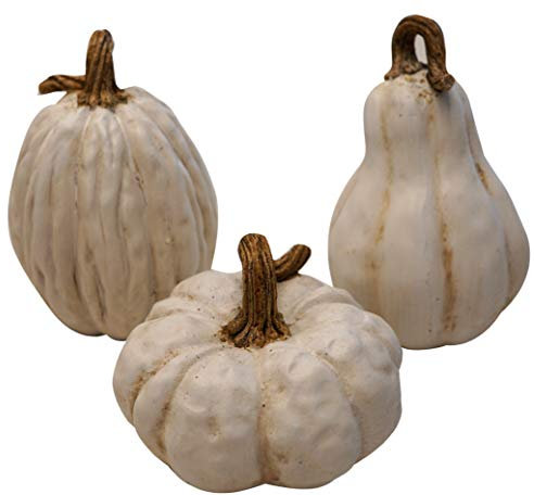 khevga Herbst-Dekoration Deko-Kürbisse im Set (weiß)