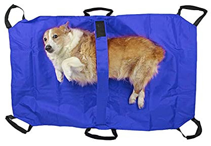 Donened Portamascotas plegable, ayuda para transportar perros con asa, antimordeduras, hasta 60 kg, camilla de transporte para mascotas con emergencias