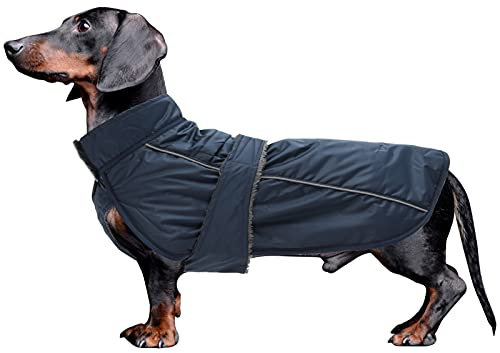 MOREZI Dachshund Regenmantel, wasserdichte Außenschicht, Fleecefutter, reflektierende Besätze, Verstellbarer Gürtel - geeignet für kleine und mittelgroße Hunde-Navy blau-M