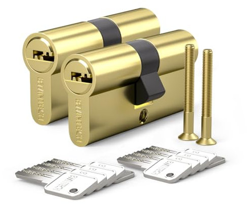 Bwintech Keyed Alike 30/30 mm Euro Brass Cylinder, 60 mm Key/Key Cylinder Lock with 10 Horizontal Brass Keys, Anti Picking, Anti Drill, Anti Bumping, Polished Brass Finish
