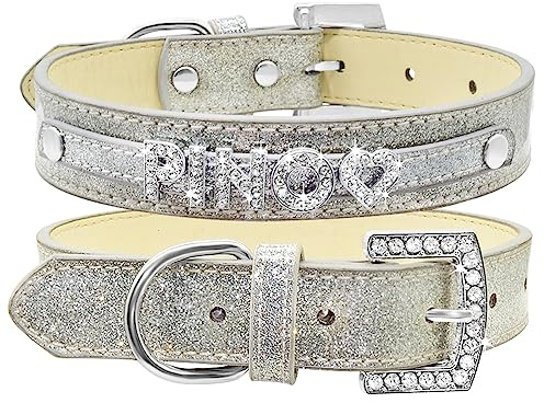 SARUEL Hundehalsband Mit Individuellem Namen Für Katzen Und Hunde Mit Personalisiertem Namen Für Kleine,Mittelgroße Und Große Hunde,Silber,XS
