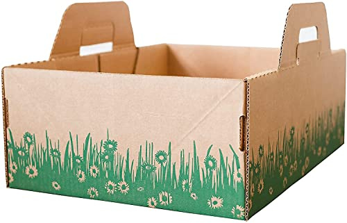 tensecondlitterbox Cajas de arena desechables de diez segundos para gatitos/gatos (4 unidades). Solución biodegradable para una eliminación rápida y fácil. Hechas de material reciclable. (Paquete de