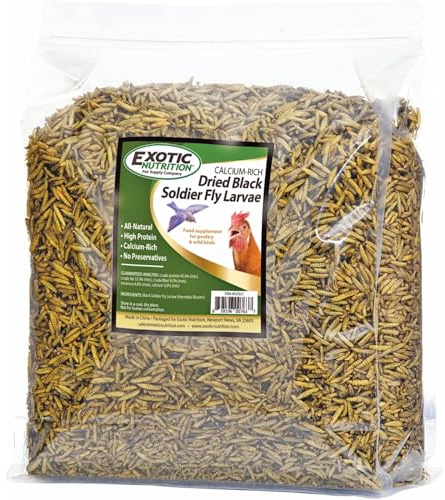 Exotic Nutrition 10 LB Bulk Dried Black Soldier Fly Larvae - High-Calcium Insect Treat - Chickens, Wild Birds, Bluebirds