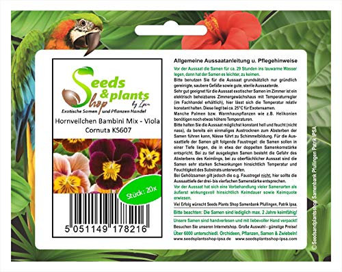 Pezzi - 20x Hornveilchen Bambini Mix Viole Cornuta Viola Del Pensiero Seme KS607 - Seeds & Plants Shop by Ipsa