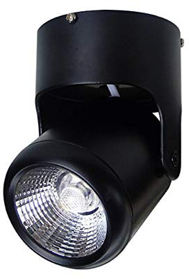 IUokLU Foco direccional LED de Techo - Lámpara de Acento Negra para Interiores luz descendente COB de Montaje en Superficie - Luminaria de riel con ángulo de,4000k_10W