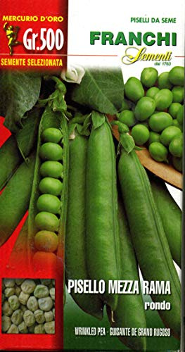 Franchi sementi sementi di qualità di piselli nani, mezza rama, rampicanti in confezioni varie (mezza rama rondo, 500 grammi)