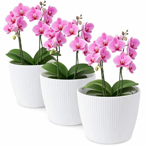 TULMERO Blomkruka matt, planteringskruka av ytterkruka plast dekorativ kruka för, stora växter 3 x blomkruka set, blomkruka örtkruka, (3-pack) vit, ø 26 cm