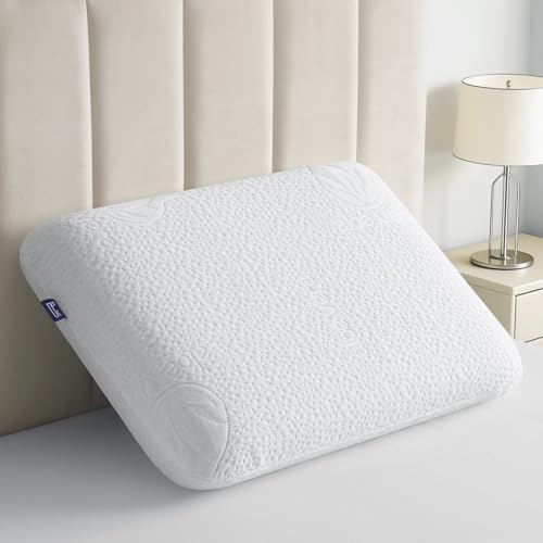 BedStory Memory Foam Kopfkissen 60x40CM×13CM -Ergonomisches Nackenstützkissen-Atmungsaktives Kissen mit abnehmbarem und waschbarem Bezug- Visco kopfkissen Öko-Tex Zertifiziert