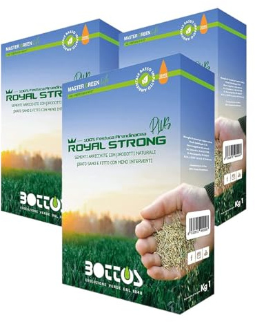 Semi per Prato Royal Strong Plus 1 Kg OFFERTA 3 CONFEZIONI, Sementi Conciate, 100% Festuca Arundinacea Tappeto Erboso