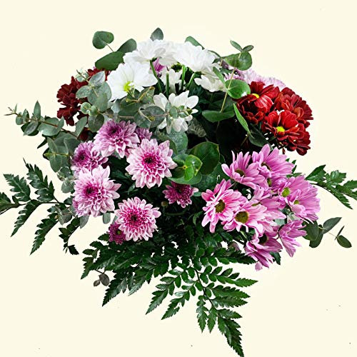 Acurrucalas® - Ramo Margaritas Variadas con Dedicatoria - Flores Naturales - Día de la madre - Flores cumpleaños - Ramo de Flores Frescas - Entrega en 24 horas de Martes a Sábado