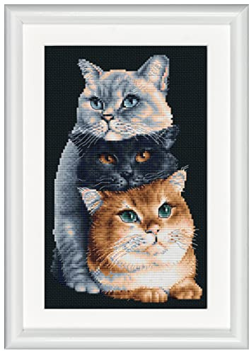 Dutch Stitch Brothers - Gezählter Kreuzstich Kit - DSB015 - Drei Katzen - Aida schwarz - 26 x 18 cm - DIY für Erwachsene