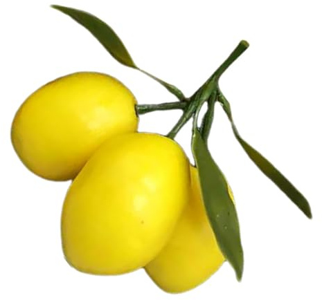 Warmhm Modèle de Citron simulé Arrangement de Citron Mur Presse-Citron Presse-Agrumes à Froid Raisin décoration d'intérieur Citron Artificiel décor de Ferme Fruits artificiels Plastique