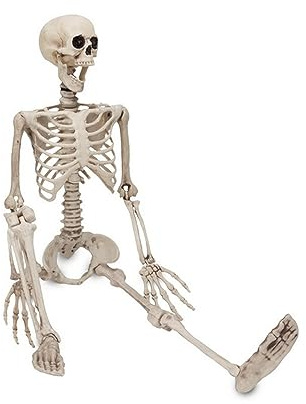 Halloween bewegliches Skelett, 90 cm Halloween-Skelett realistische, Anatomisches Modell des Menschlichen Skeletts, Ganzkörper-Skelettknochen mit beweglichen Gelenken für Party- und Halloween