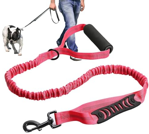 Laisse Pour Chien Absorbant Les Chocs – Laisse Élastique Pour Chien Absorbant Les Chocs, Laisse Pour Chien Polyvalente | Laisse Élastique Réfléchissante Pour Chien, Laisse Élastique Anti-traction Pour
