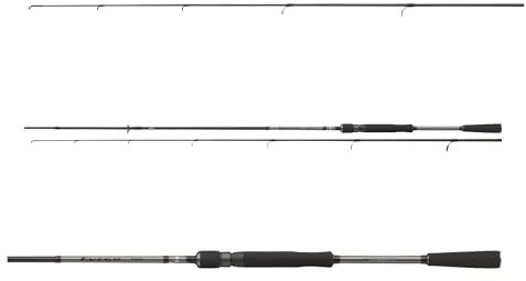 DAIWA Fuego Predator Spin, 2,40m, 10-40g, 2 Teile, Schnell, Raubfisch Angelrute, 11124-240