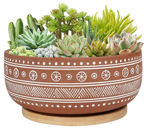 Pentole succulente, pentola in ceramica rotonda da 8 pollici con vassoio, fioriera bonsai decorativa con buco di drenaggio per il desktop per ufficio giardino, vasi succulenti, pianta di terracotta