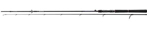 DAIWA Spinnrute Tournament SW AGS, 2.70m 28-84g