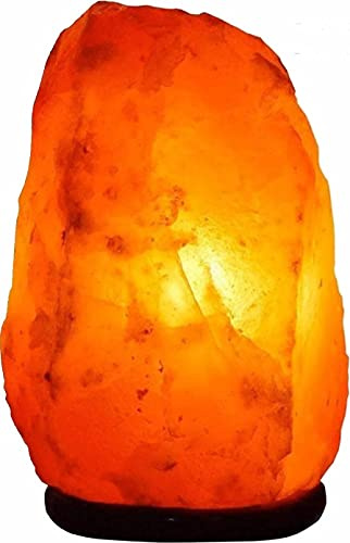 Himalayan Salt Lamp with Dimmer Switch - Natural Crystal Rock Night Light for Home Decor - Hand Carved Salt Lamp with Wooden Base - Soothing Amber Glow Night Light & Gifts