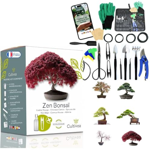 Cultivea - Bonsai Duo Set: Duo Bonsai Mini Set 6 Bonsai + 32 Werkzeuge aus Stahl - Anbau & komplette Pflege - Schere, Zange, Aludraht - originelle Geschenkidee Garten